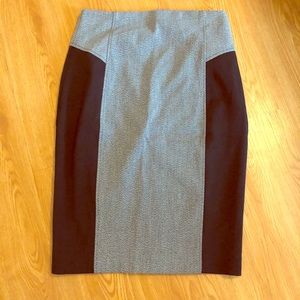 Pencil Skirt